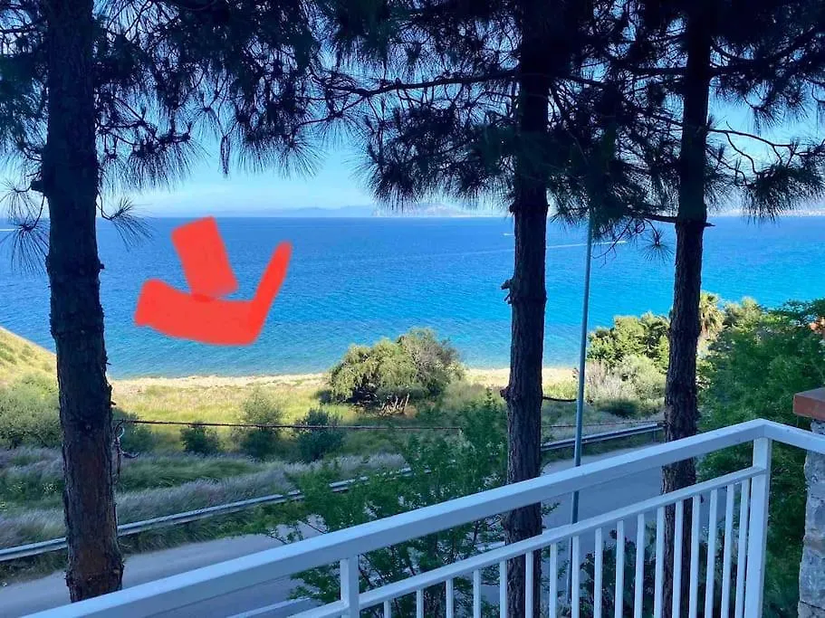 Panoramic Apartment On The Beach A/C Palermo
